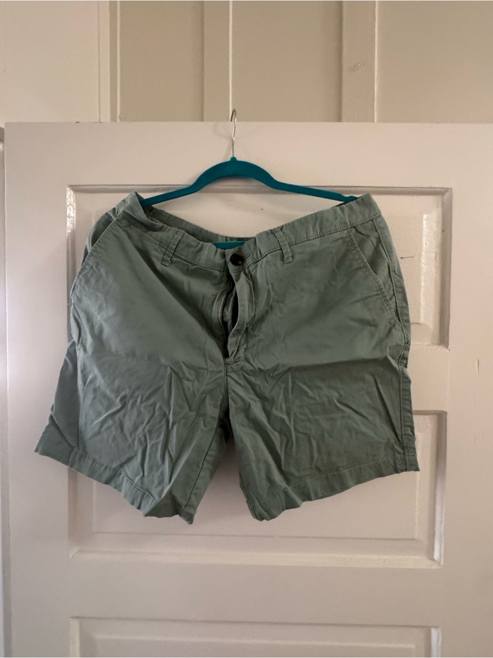 Goodfellow & Co Sage Green Flat-Front Cotton Shorts